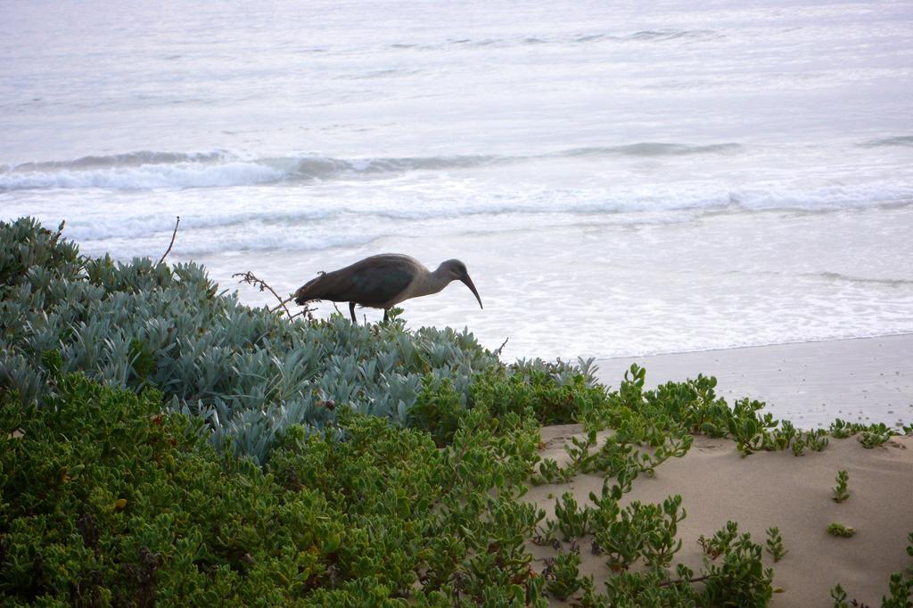 At Sta-Plus Guest House Port Elizabeth Exteriér fotografie